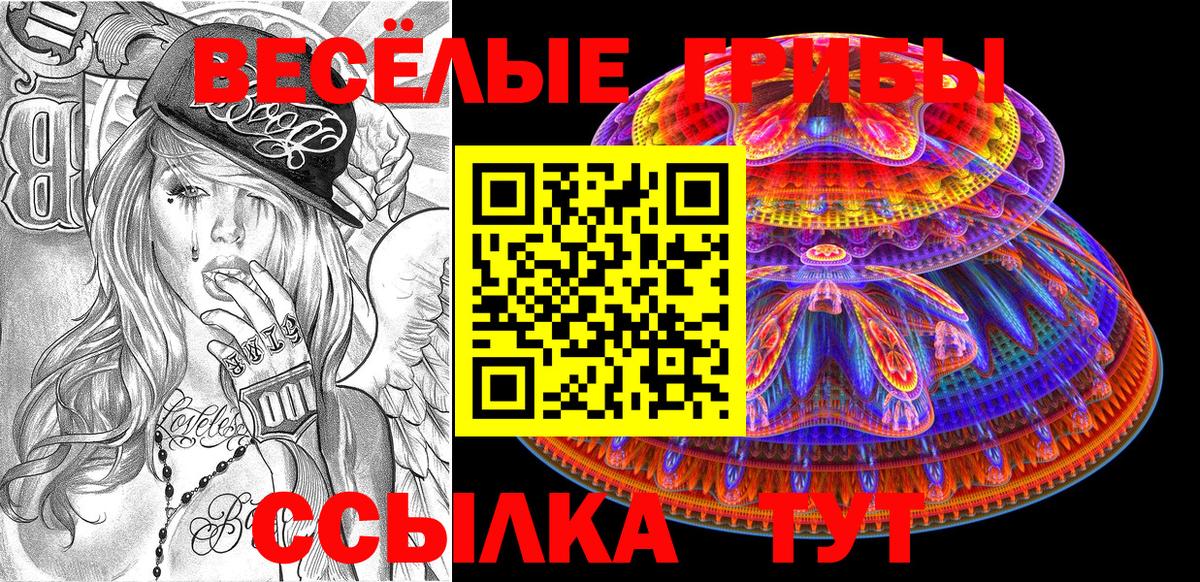 Алушта  Галлюциногенные грибы Psilocybine cubensis  Вход с VPN 
